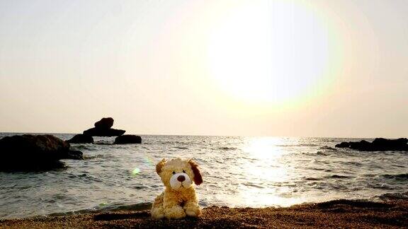 玩具狗孤独地坐在沙滩上背对着大海日出或日落
