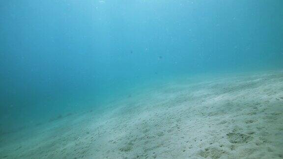 沙质海床阳光透过蓝色原始的海水和白色的沙子