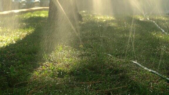 洒水车在草地上喷水在炎热的夏天给花园植物浇水的管道草坪灌溉系统草坪洒水器