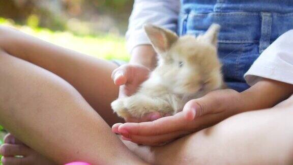 孩子和动物-一个毛茸茸的棕色兔子在女孩的膝盖上