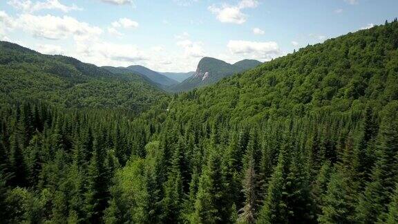 夏季北方自然森林和山地鸟瞰图