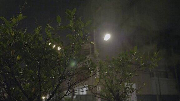 夜间热带暴雨