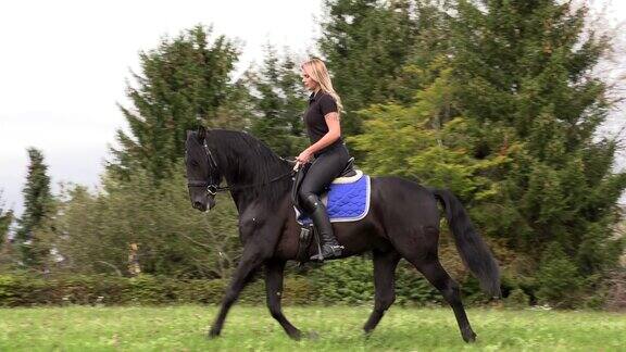 美丽的金发女郎骑着一匹黑马在田野上