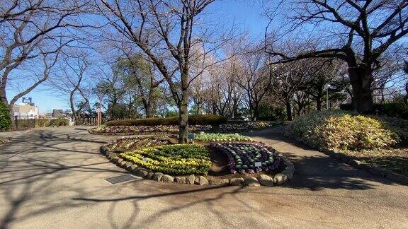 日本东京的旭山公园
