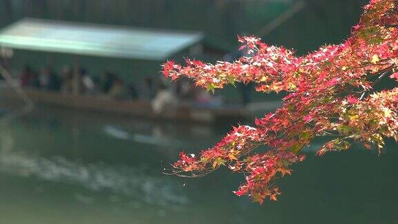 在秋日的日出时分岚山的当地人在撑船日本京都旅游