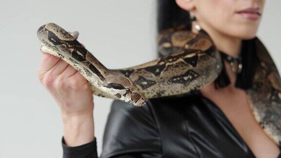 一个女人脖子上的大蛇的特写