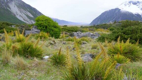 位于新西兰山脉中的山谷