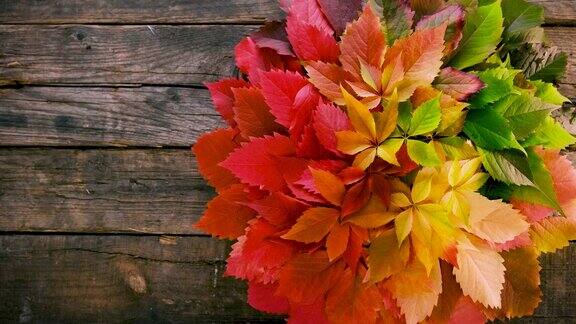 色彩斑斓的秋叶在质朴的木质背景与复制空间