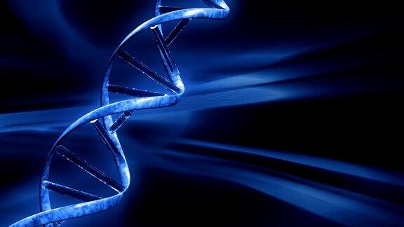 DNA字符串无缝循环