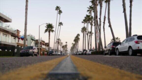 加州热带海洋海滩棕榈树散焦路洛杉矶好莱坞美学