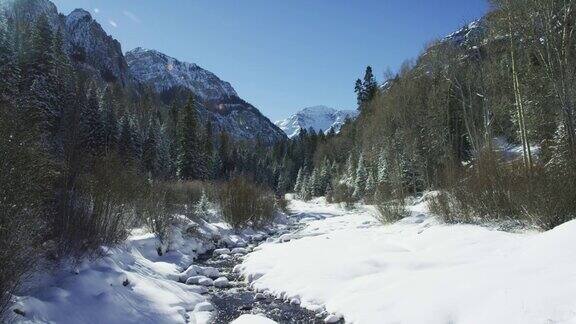 倾斜向上的镜头一个流动的溪流通过雪谷景观包围在森林在冬天在圣胡安山脉(落基山脉)外奥雷科罗拉多州在一个阳光明媚的日子