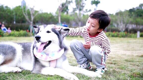 小男孩和阿拉斯加雪橇犬