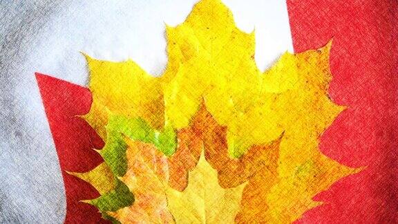 多元化的枫叶象征多元文化加拿大