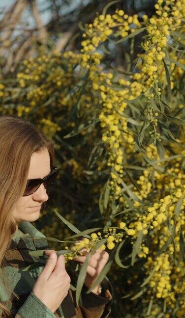 一个长头发的女孩在含羞草树旁闻着花垂直视频
