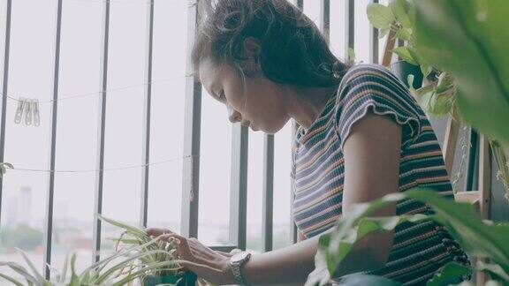 可爱的女人照顾她的植物存货VDO