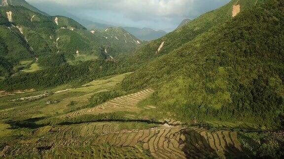 越南盐白梯田上的稻田美丽的梯田在木仓寨收获季节