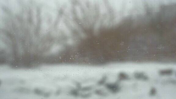 大雪透过车窗