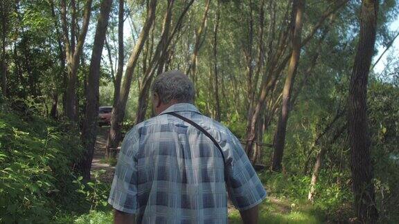 一个满头白发的男人在阳光明媚的日子里走在茂密的森林里