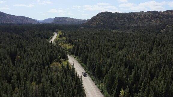  秋天行驶在加拿大树林的车辆