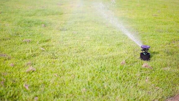 洒水车在家里浇灌草坪