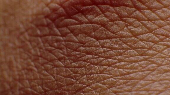 人体皮肤的特写微距