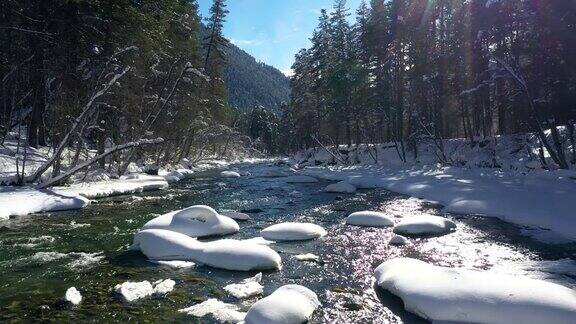 冬天美丽的雪景森林飞过河流和覆盖着雪的松树