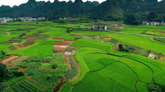 鸟瞰图喀斯特山峰森林(万峰林)贵州中国