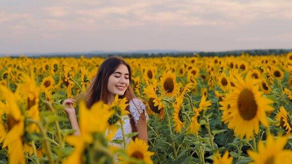 黄色的向日葵田美丽的年轻女子摆姿势在草地与鲜花肖像的观点