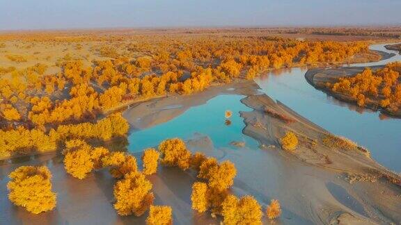 秋日的新疆鸟瞰图