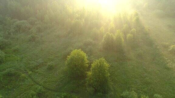 飞过绿草如茵的草地灌木丛和树木日出的阳光照耀着周围空中射击UHD