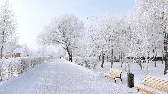 被白雪覆盖的城市公园