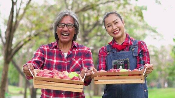 慢镜头:一对农夫抱着苹果篮微笑着