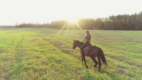 黑发女孩的长发在风中飘动骑着马在草地上背对着太阳