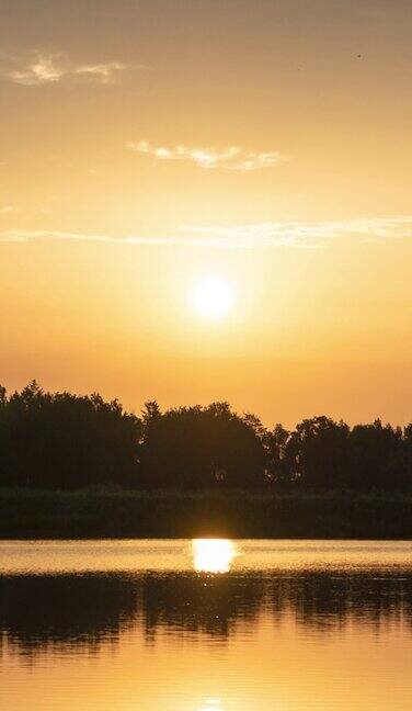 间隔拍摄湖面上的日出太阳从树上升起进入云层垂直视频