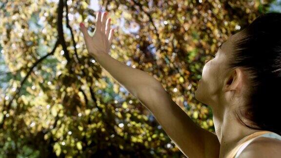 透过秋日的树林女人举起手向太阳