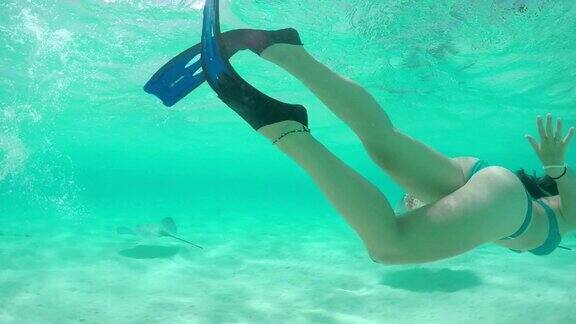 慢镜头:年轻女子与黄貂鱼和鲨鱼一起浮潜水下