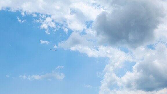一只雄鹰在蓝天上飞翔