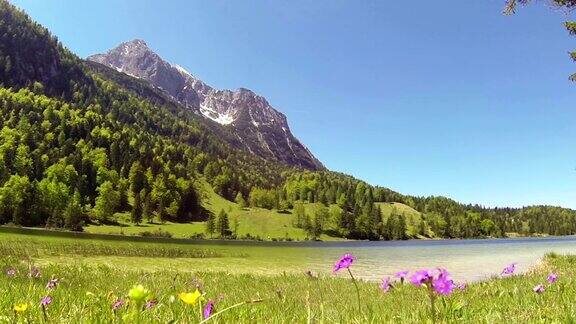 花草地和湖在阿尔卑斯山的山脉