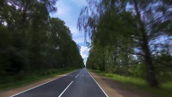 在穿过森林的乡间小路上开车