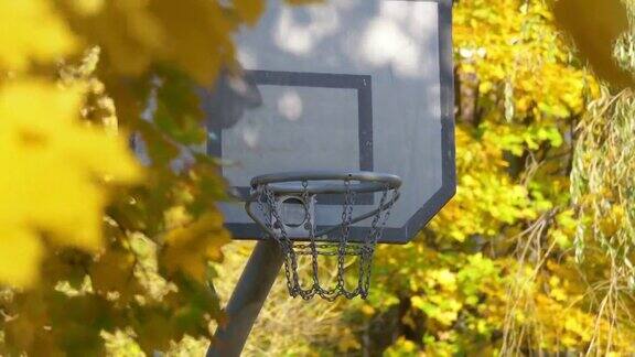 《秋天的篮球》4k慢镜头60帧