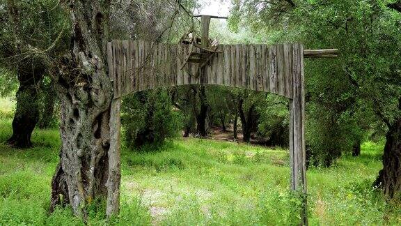 老木大门橄榄园的入口希腊4k