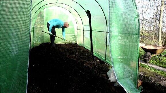 农民在温室用耙子耙平土壤
