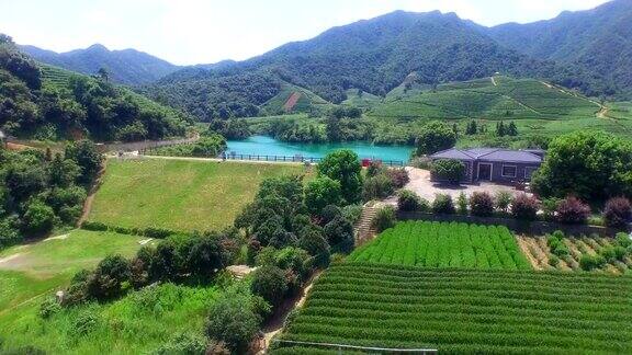 鸟瞰杭州龙井山茶园