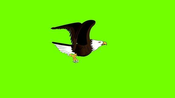 老鹰飞翔的动画序列