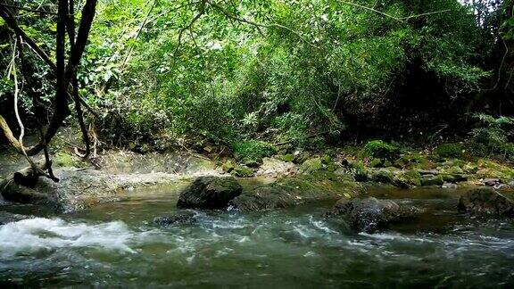 4K美丽的自然瀑布溪流