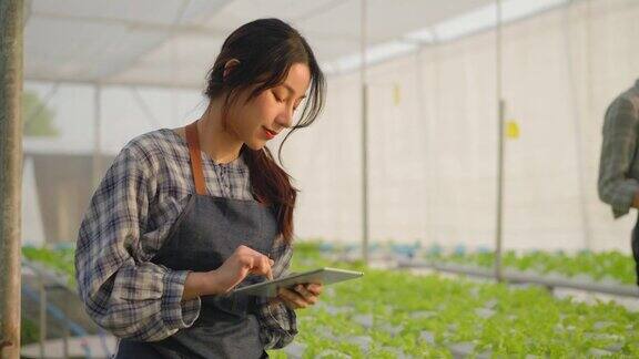 亚洲女性年轻的农民走到检查沙拉蔬菜在一个水培农场种植在温室用她的手和爱做在一个数字平板上为质量控制在我们的小型农业农场在日落下