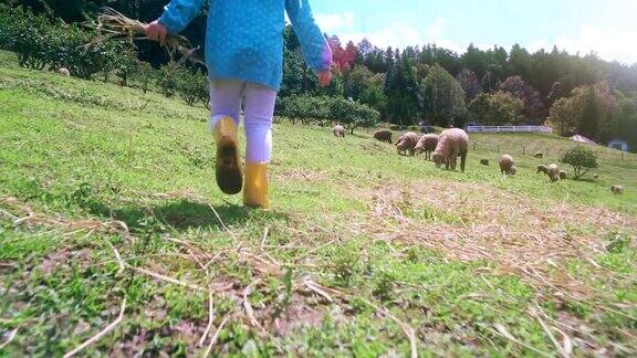 小女孩在羊场向前走