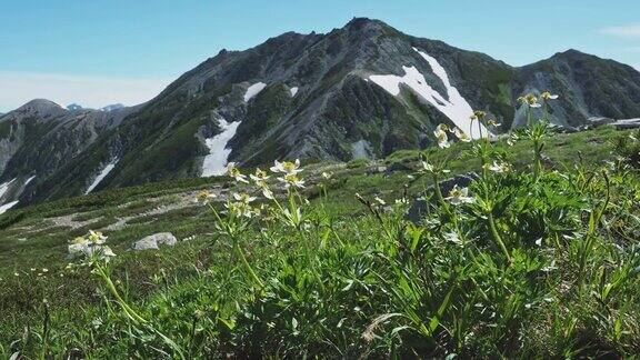 日本阿尔卑斯山和白山一江