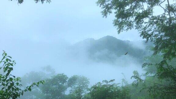 雾滚滚流过群山