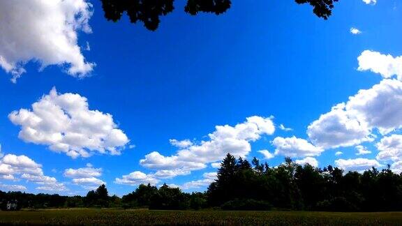 延时:绿叶映衬着蓝天白云的自然背景